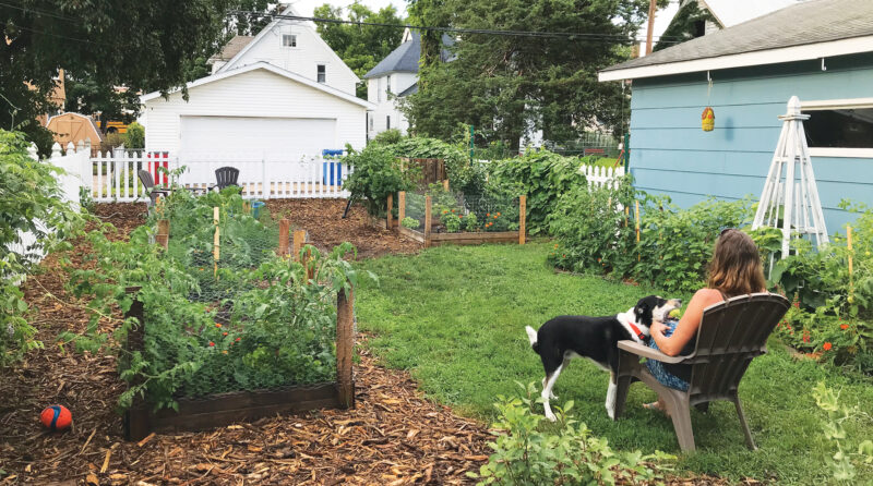 Transforming Turf into Native Plants and Abundant Gardens